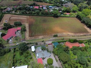 Venta de Magnifico Lote de Terreno en Alajuela / Mls. 27-539 OFC JB - Foto 2 de 3