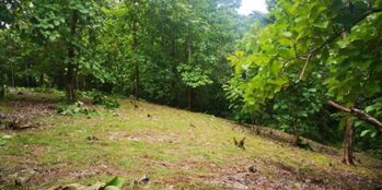 Venta de Lote en Hojancha-Puerto Carrillo, Guanacaste. RAH 26-996 PRECIO REBAJADO en Puerto Carrillo, Hojancha, Guanacaste — 52 000 000 ₡ - Foto 4 de 6