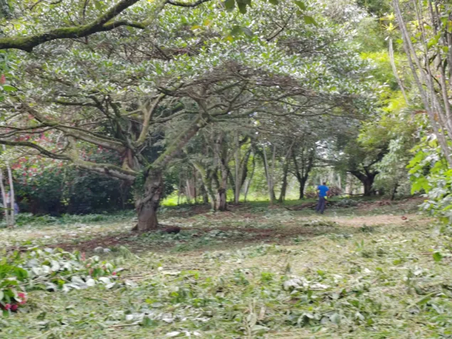 Lote en venta en Rosario de Naranjo en El Rosario, Naranjo, Alajuela — $80,000 - Foto 3 de 12