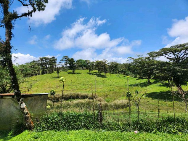 FINCA LOS ANGELES NORTE  SAN RAMON DE ALAJUELA  CON LUZ Y AGUA in Ángeles, San Ramón, Alajuela — ₡ 210 000 000