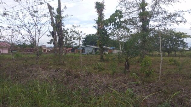 DE OPORTUNIDAD BELLA PROPIEDAD EN UPALA CENTRO.  en Upala, Alajuela — ₡ 100 000 000