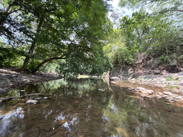 VENTA DE LOTE DE 39.776,03 M², USO PARA DESARROLLO, OROTINA, ALAJUELA en Orotina, Alajuela — $750,000 - Foto 3 de 16