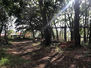 LAND LOT TO BUILD SANTA ANA DOWN TOWN , SALITRAL ST en Salitral, Santa Ana, San José — $322,000 - Foto 4 de 10