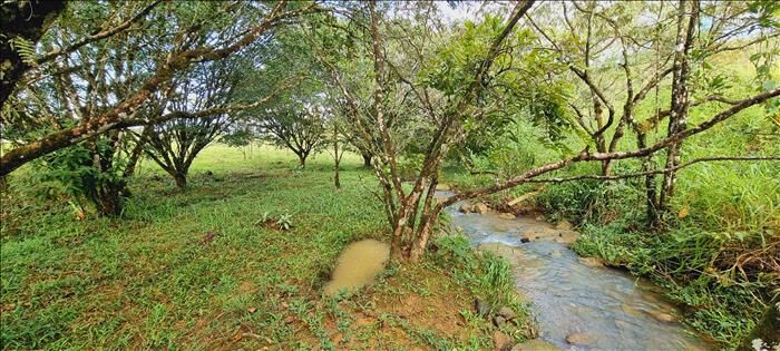 1.37 ACRE LOT WITH CREEK FOR SALE IN RESIDENCIAL RISE in El General, Pérez Zeledón, San José — $250,000