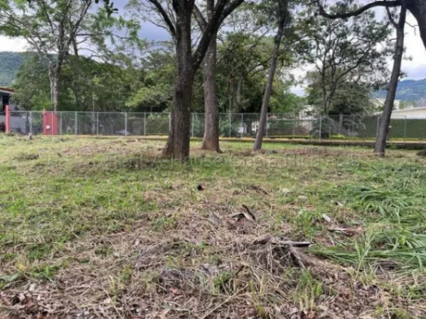 Venta de Lote Plano en Santa Ana. RAH 26-1688 USO DE SUELO AGRÍCOLA en Santa Ana, San José — $495,000 - Foto 3 de 6