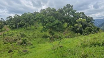 VENTA DE LOTE, RESIDENCIAL Y AGROPECUARIO, HEREDIA, SARAPIQUI en La Virgen, Sarapiquí, Heredia — 18 900 000 ₡ - Foto 3 de 5