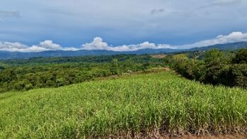 SE VENDE FINCA DE CAÑA CON VISTAS PANORAMICAS Y AGUA PROPIA en El General, Pérez Zeledón, San José — $236,979 - Foto 4 de 12