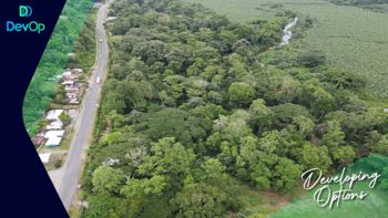 🟢 VENTA | Lotes Titulados | Cahuita | US$22/m² en Cahuita, Talamanca, Limón — $152,416 - Foto 5 de 5