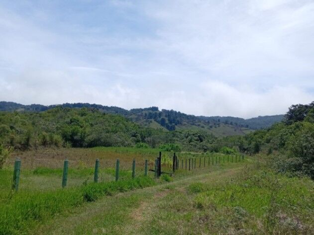 5 exclusivos Lotes de 1 Hectárea cada uno en Piedades Sur, San Ramón de Alajuela, Costa Rica.  en Piedades Sur, San Ramón, Alajuela — ₡ 50 000 000