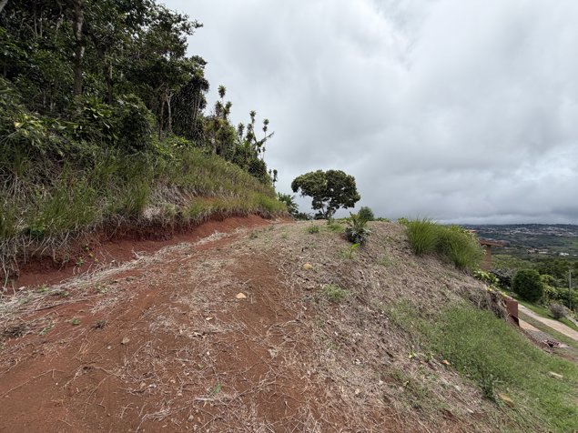 Lote en San Isidro de San Ramon in San Isidro, San Ramón, Alajuela — ₡ 23 000 000 - Photo 2 of 9