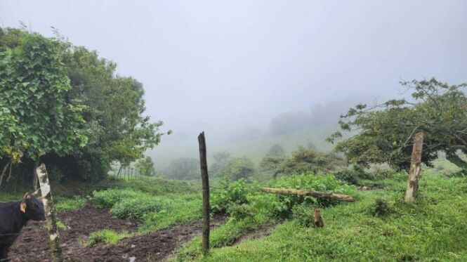 Venta de Lote en Vásquez Coronado-Dulce Nombres. en Dulce Nombre de Jesús, Vázquez de Coronado, San José — $120,000