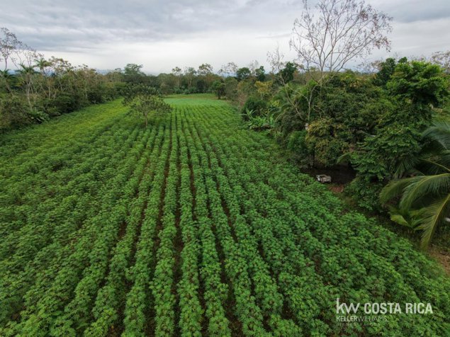 Terreno 7168m2 en venta en Florencia, San Carlos, Alajuela — ₡ 35 000 000 - Foto 2 de 5