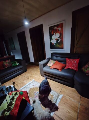 Casa de Campo in San Lorenzo, Tarrazú, San José — ₡ 67 000 000