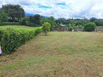 vendo lote con preciosa vista al valle central  en Santa Eulalia, Atenas, Alajuela — 28 000 000 ₡ - Foto 5 de 6