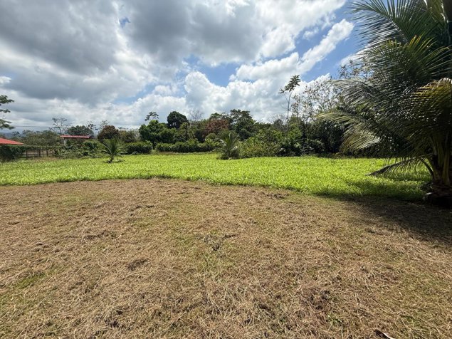 Venta de terreno en San Ramón de Alajuela en San Lorenzo, San Ramón, Alajuela — ₡ 35 000 000 - Foto 3 de 7