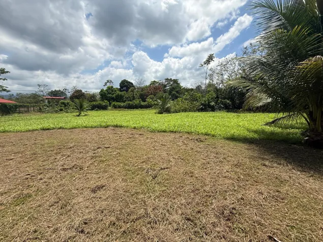 Venta de terreno en San Ramón de Alajuela en San Lorenzo, San Ramón, Alajuela — ₡ 35 000 000 - Foto 3 de 7