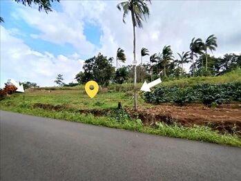 Land For Sale Venecia, San Carlos, Alajuela