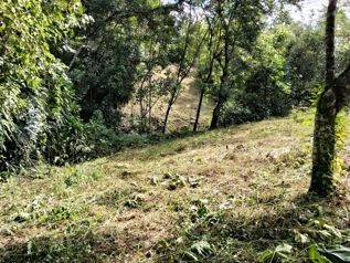 Lote de oportunidad 1654m2 en San Isidro De El General, Pérez Zeledón, San José — 35 000 000 ₡ - Foto 3 de 12