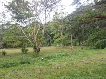 MLS-25-1077 LS VENTA LOTE TARCOLES GARABITO  en Tárcoles, Garabito, Puntarenas — $172,000 - Foto 5 de 6