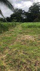 VENTA DE LOTE CON USO DE SUELO MIXTO,  HEREDIA, SARAPIQUÍ, HORQUETAS en Las Horquetas, Sarapiquí, Heredia — 32 000 000 ₡ - Foto 4 de 8