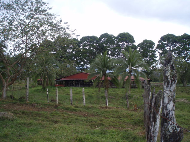 Finca Ganadera en  Las  Horquetas de Sarapiqui , Heredia  . in Las Horquetas, Sarapiquí, Heredia — $6,500,000 - Photo 3 of 24