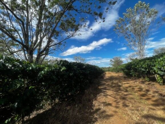 Se vende finca con 4.7 hectáreas en Desamparados Alajuela 23-1784 in Desamparados, Alajuela — $2,000,000