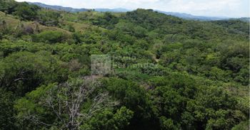 Finca de 50.9Ha en Venta – El Salvador, Piedades Sur, San Ramón in Piedades Sur, San Ramón, Alajuela — 420 000 000 ₡ - Photo 2 of 10
