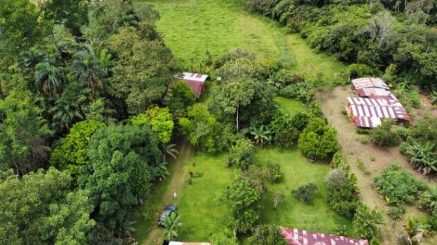 VENTA TERRENO1,306.85M²CON FRUTALES Y CASACOSTA RICA. en San Isidro De El General, Pérez Zeledón, San José — $90,000
