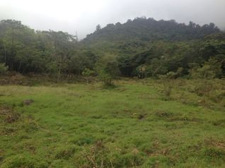 Finca de 28 ha, Valle de OROSI, Cartago en Orosi, Paraíso, Cartago — $850,000 - Foto 2 de 5