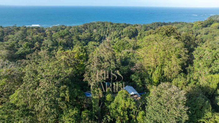 Jungle & Oceanview Estate at Playa Chiquita in Cahuita, Talamanca, Limón — $3,000