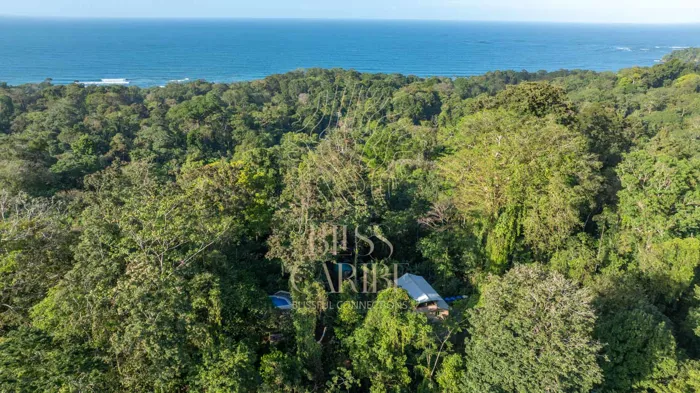 Selva y Estate con Vista al Océano en Playa Chiquita en Cahuita, Talamanca, Limón — $3,000