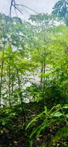 VENTA DE LOTE DE PLAYA, GUANACASTE, SANTA CRUZ en Cuajiniquil, Santa Cruz, Guanacaste — ₡ 175 000 000