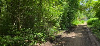 Lote en Venta, Playa Hermosa, Guanacaste. Playa muy Cerca 5PDN9280176 in Sardinal, Carrillo, Guanacaste — $1,007,000 - Photo 4 of 20