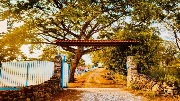 Farm for Sale in Fortuna de Bagaces, Guanacaste – Tourism, Residential, and Agricultural Investment en La Fortuna, Bagaces, Guanacaste — $950,000 - Foto 2 de 22