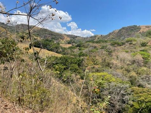 Finca en funcionamiento de 38.334m2 con casa y cuadras en Atenas, Alajuela — $545,000 - Foto 3 de 17
