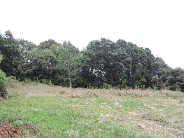 QUINTAS DE 5.000 M2 EN MACHO GAFF en San Isidro, El Guarco, Cartago — ₡ 40 000 000