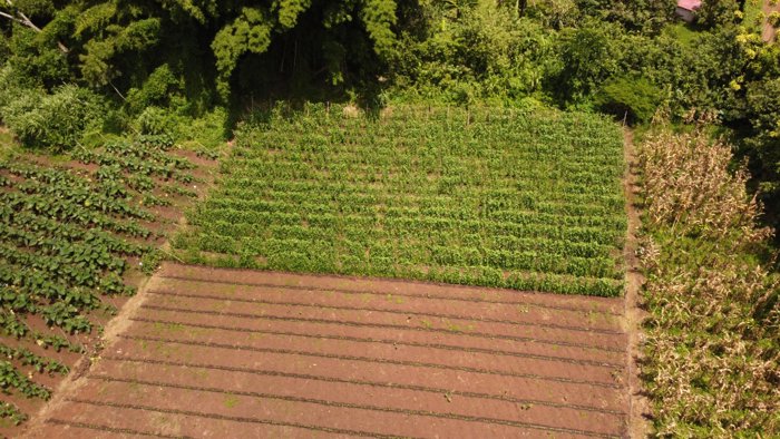 Propiedad con Agua Todo el Año, Ideal para Vivero o Agricultura en Naranjo, Alajuela — $102,000