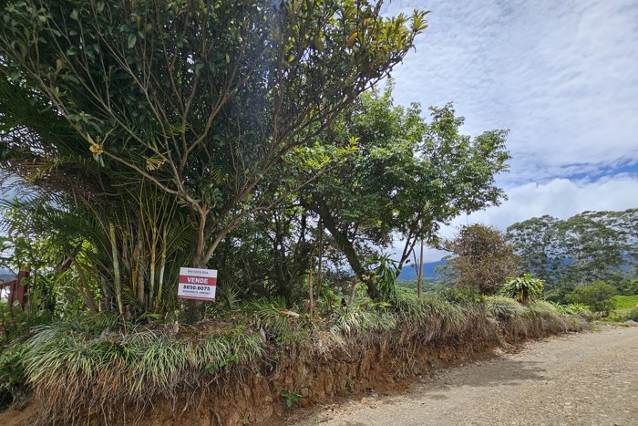 OPORTUNIDAD! Venta de Terreno de 4242 m2 en Grecia. in San Isidro, Grecia, Alajuela — ₡ 45 000 000