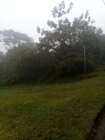 BELLÍSIMA FINCA CON CASA EN CORONADO, SAN JOSÉ.  en Cascajal, Vázquez de Coronado, San José — ₡ 250 000 000