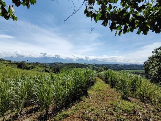 EN VENTA-PARAÍSO DE 205.799M²A LA ORILLA DEL RÍO, COSTA RICA in Cajón, Pérez Zeledón, San José — $365,000
