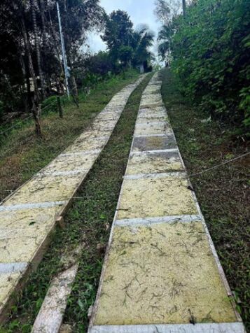 SE VENDE BELLA PROPIEDAD EN PEÑAS BLANCAS, SAN RAMÓN.  en Peñas Blancas, San Ramón, Alajuela — ₡ 18 000 000