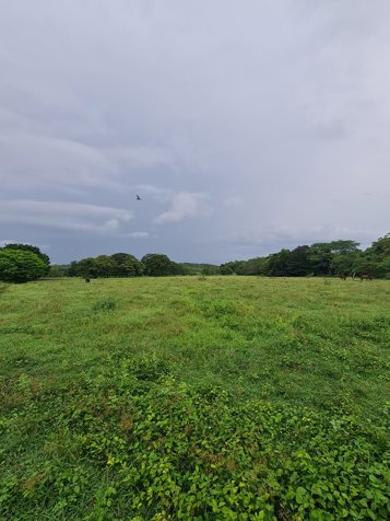 VENTA DE FINCA, GUANACASTE, BAGACES in Bagaces, Guanacaste — $5,000,000