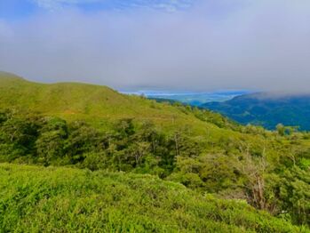 Se vende propiedad, gran oportunidad  en San Vito, Coto Brus, Puntarenas — 382 500 ₡ - Foto 4 de 11