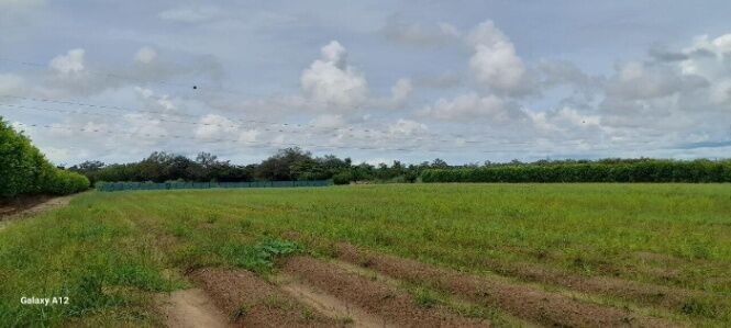 Venta de Lote + 2 Casas y Bodega en Liberia de Guanacaste. RAH 26-794 en Cañas Dulces, Liberia, Guanacaste — ₡ 500 000 000