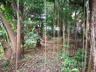 VENTA LOTE PARA DESARROLLAR URBANIZAR GUADALUPE  VHP-LV479 in Guadalupe, Goicoechea, San José — $1,224,850 - Photo 3 of 7