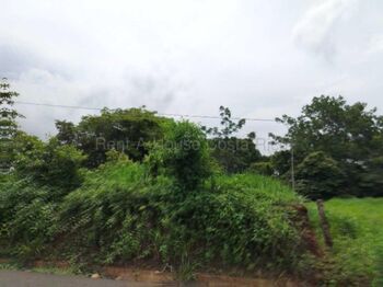 Venta | 24.7 hectáreas con potencial para gran desarrollo en Esparza #26-2227 en San Juan Grande, Esparza, Puntarenas — $1,235,000 - Foto 5 de 7