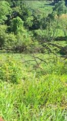 BELLA FINCA VARIOS USOS EN TABARCIA DE MORA, SAN JOSÉ.  en Tabarcia, Mora, San José — 100 000 000 ₡ - Foto 4 de 4