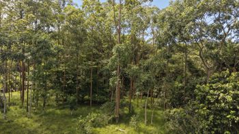 SE VENDE TERRENO LISTO PARA CONSTRUIR CON ARROYO NATURAL Y VISTAS A LAS MONTAÑAS en Rivas, Pérez Zeledón, San José — $350,000 - Foto 5 de 12