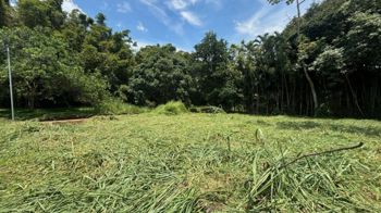 2 lotes se venden en el mismo residencial con porton comunal in Atenas, Alajuela — $90,000 - Photo 3 of 8