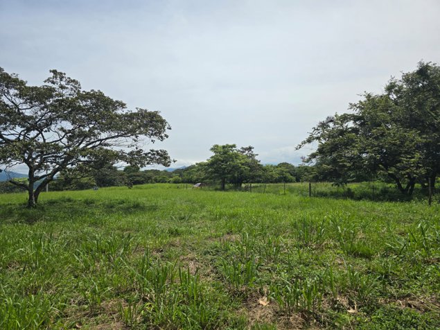 Se vende (Venta) Terreno Guácima, Alajuela Cod GU1311 en Piedades Sur, San Ramón, Alajuela — $500,000